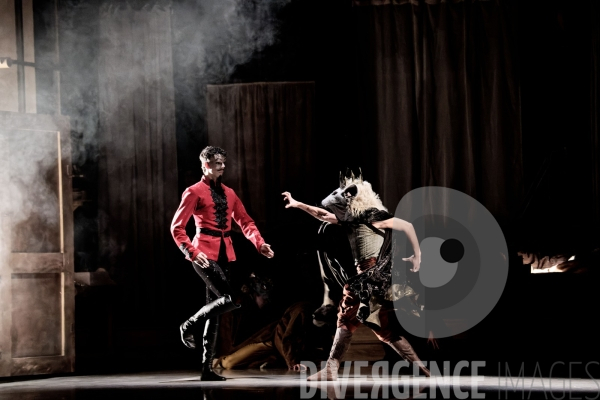Casse-Noisette / Ballet de l Opéra national du Rhin /  Rubén Julliard