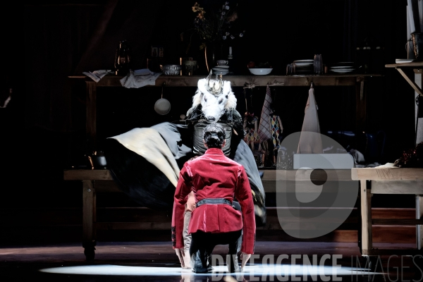 Casse-Noisette / Ballet de l Opéra national du Rhin /  Rubén Julliard