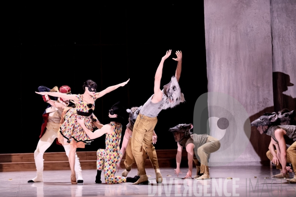 Casse-Noisette / Ballet de l Opéra national du Rhin /  Rubén Julliard