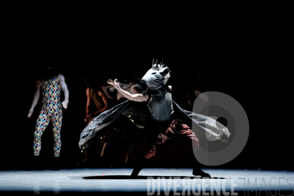 Casse-Noisette / Ballet de l Opéra national du Rhin /  Rubén Julliard