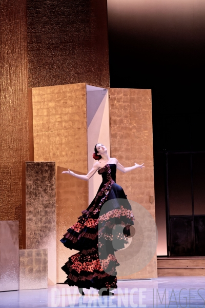 Casse-Noisette / Ballet de l Opéra national du Rhin /  Rubén Julliard