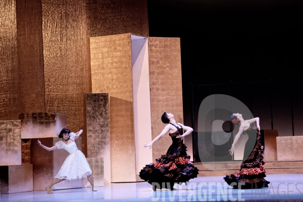 Casse-Noisette / Ballet de l Opéra national du Rhin /  Rubén Julliard