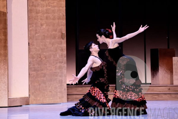 Casse-Noisette / Ballet de l Opéra national du Rhin /  Rubén Julliard