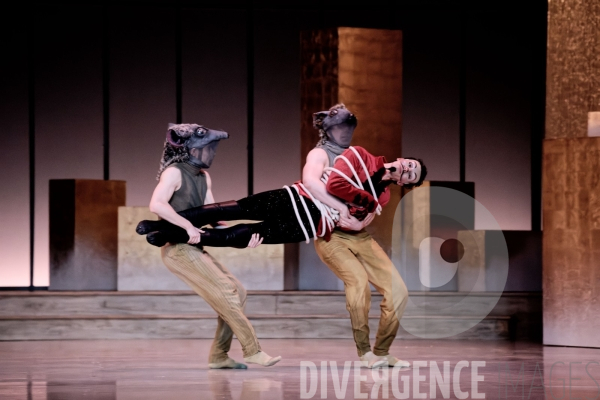 Casse-Noisette / Ballet de l Opéra national du Rhin /  Rubén Julliard