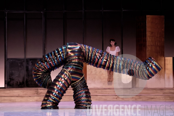 Casse-Noisette / Ballet de l Opéra national du Rhin /  Rubén Julliard