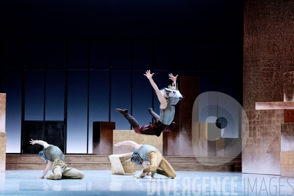 Casse-Noisette / Ballet de l Opéra national du Rhin /  Rubén Julliard