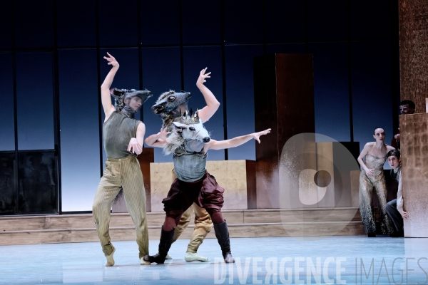 Casse-Noisette / Ballet de l Opéra national du Rhin /  Rubén Julliard