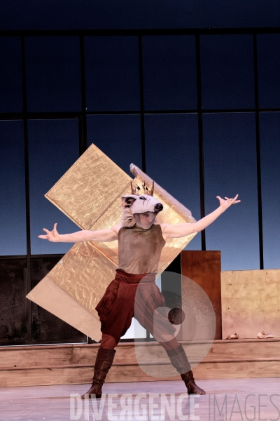 Casse-Noisette / Ballet de l Opéra national du Rhin /  Rubén Julliard