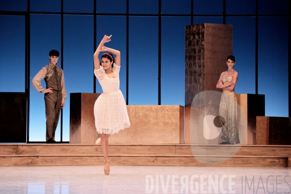 Casse-Noisette / Ballet de l Opéra national du Rhin /  Rubén Julliard
