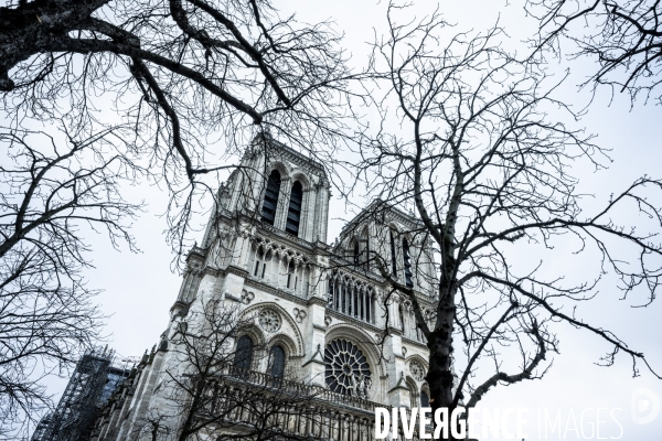 Notre-Dame de Paris - 09.12.2024 Ouverture au public 