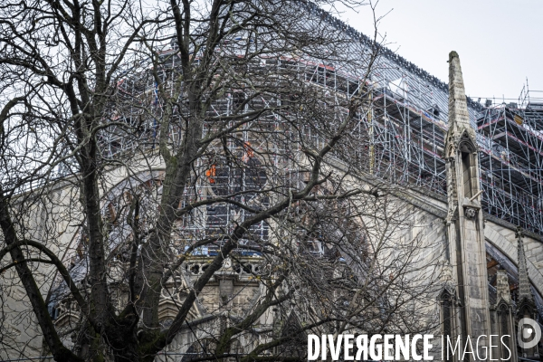 Notre-Dame de Paris - 09.12.2024 Ouverture au public 