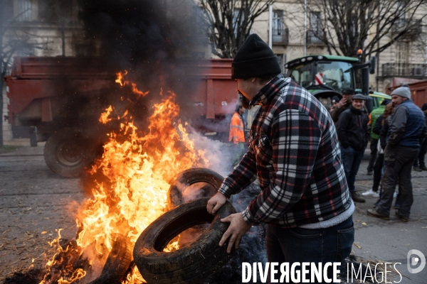 Manifestation des agriculteurs a Dijon (FDSEA et Jeunes agriculteurs)