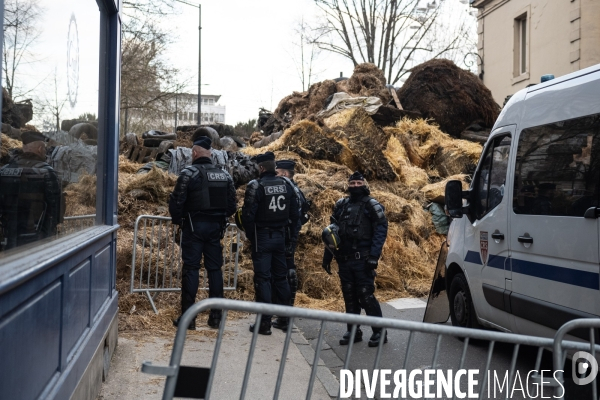 Manifestation des agriculteurs a Dijon (FDSEA et Jeunes agriculteurs)