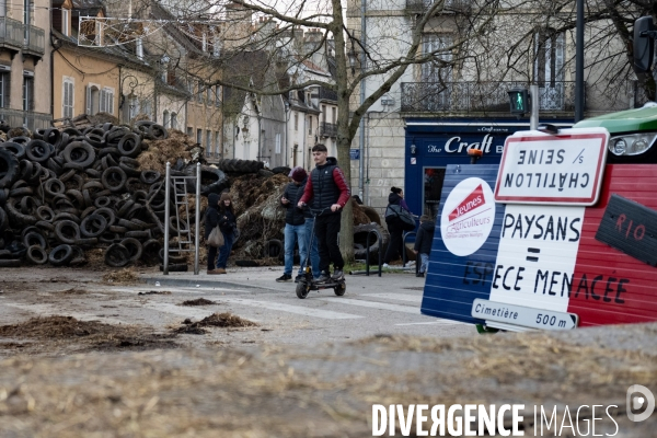 Manifestation des agriculteurs a Dijon (FDSEA et Jeunes agriculteurs)