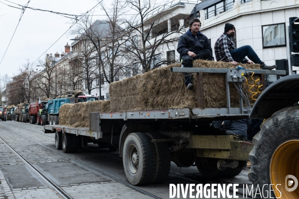 Manifestation des agriculteurs a Dijon (FDSEA et Jeunes agriculteurs)