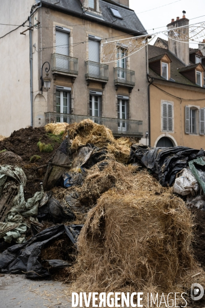 Manifestation des agriculteurs a Dijon (FDSEA et Jeunes agriculteurs)