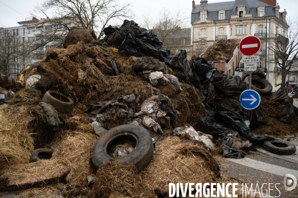 Manifestation des agriculteurs a Dijon (FDSEA et Jeunes agriculteurs)