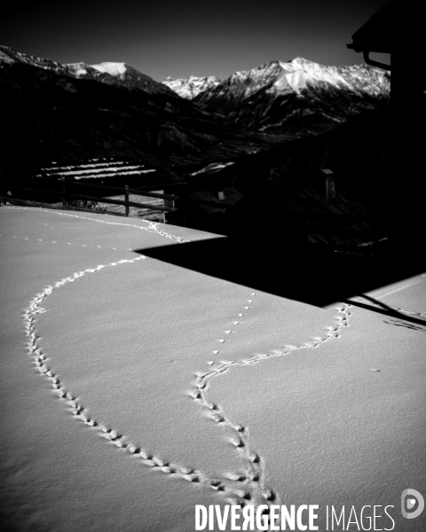 L envers de mon hiver #30 (RAPPEL)