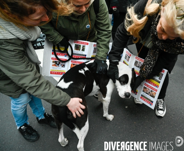 JIDA-Journée internationale des droits des animaux - Paris