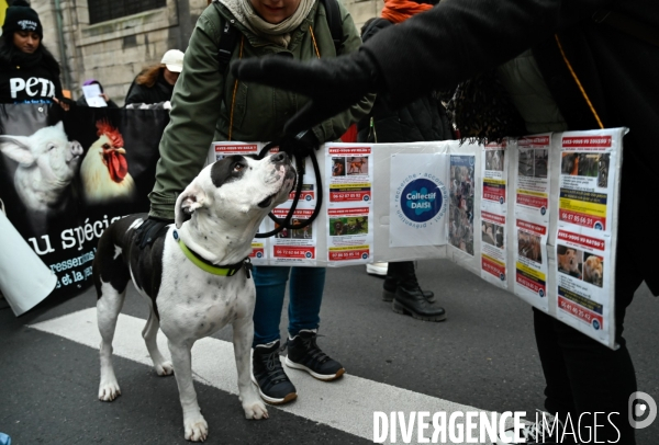 JIDA-Journée internationale des droits des animaux - Paris