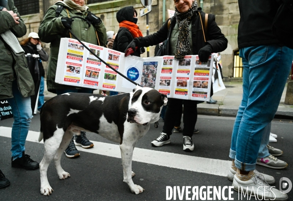 JIDA-Journée internationale des droits des animaux - Paris