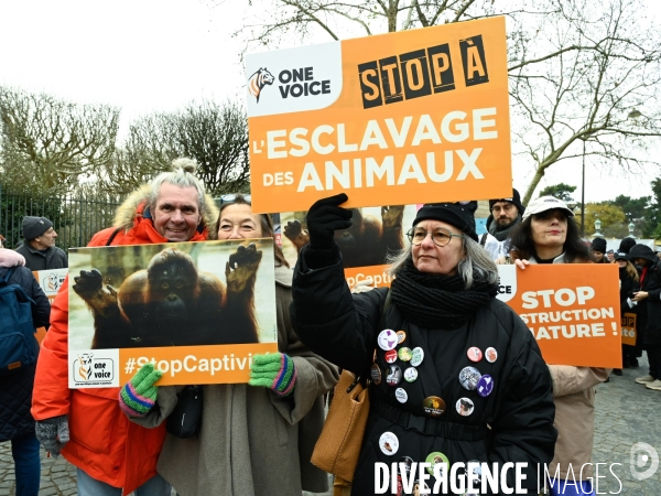 JIDA-Journée internationale des droits des animaux - Paris
