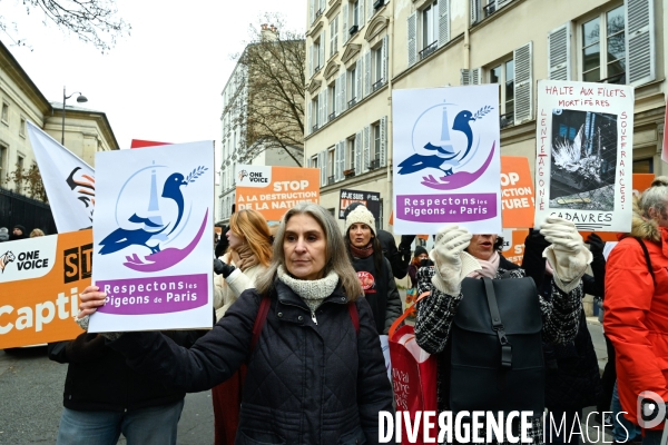 JIDA-Journée internationale des droits des animaux - Paris
