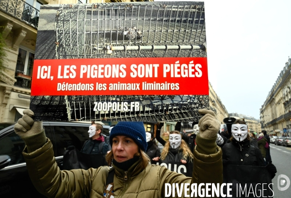 JIDA-Journée internationale des droits des animaux - Paris