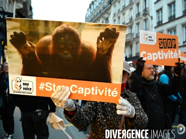 JIDA-Journée internationale des droits des animaux - Paris