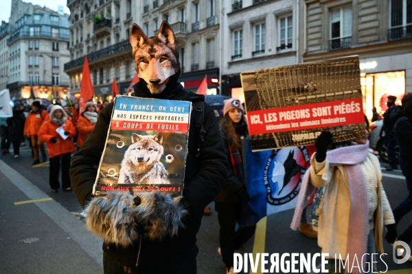JIDA-Journée internationale des droits des animaux - Paris
