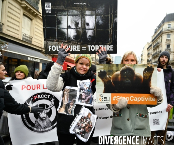 JIDA-Journée internationale des droits des animaux - Paris