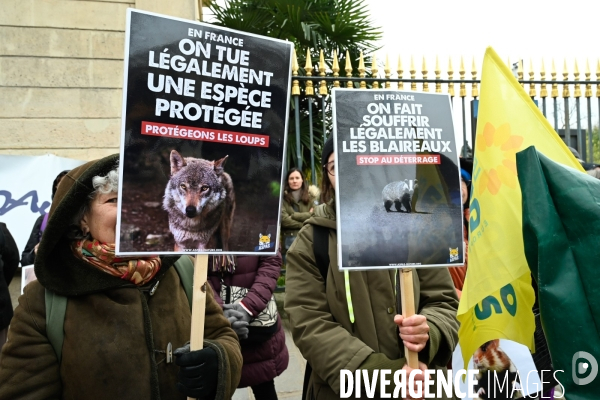 JIDA-Journée internationale des droits des animaux - Paris