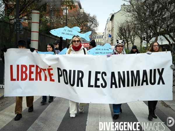 JIDA-Journée internationale des droits des animaux - Paris