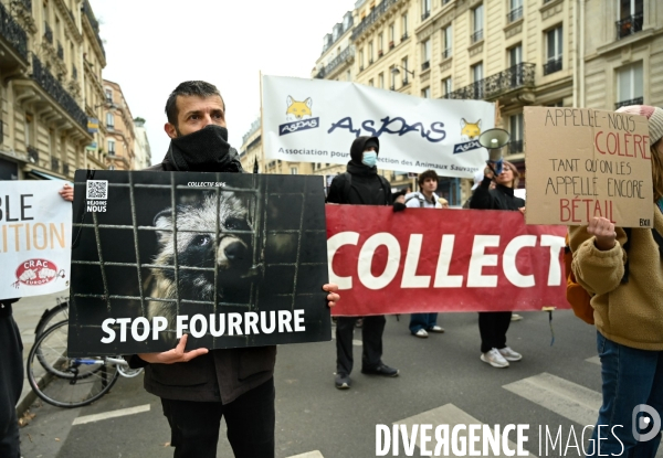 JIDA-Journée internationale des droits des animaux - Paris