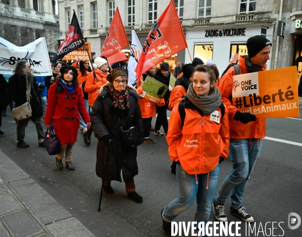 JIDA-Journée internationale des droits des animaux - Paris