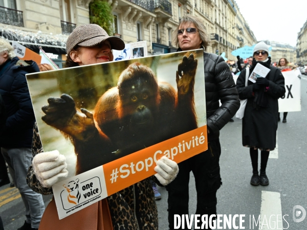 JIDA-Journée internationale des droits des animaux - Paris
