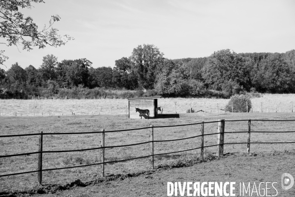 Une fin d été
