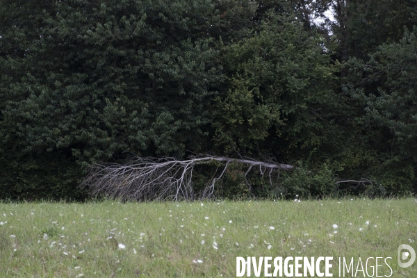Une fin d été