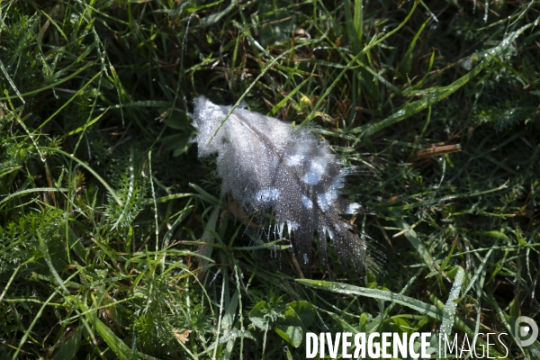 Une fin d été