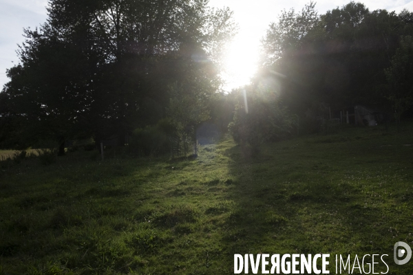 Une fin d été