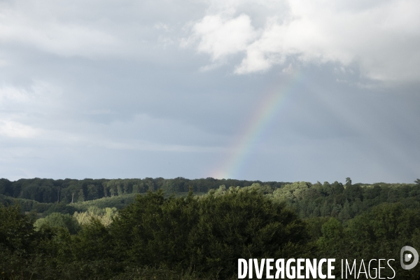 Une fin d été
