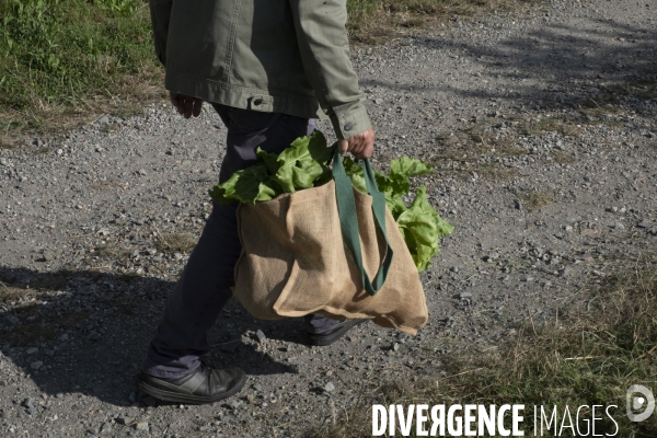 Une fin d été