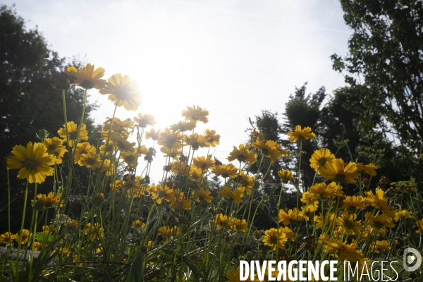 Une fin d été