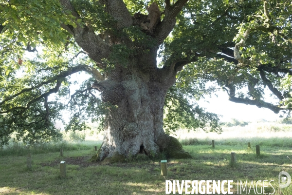 Une fin d été
