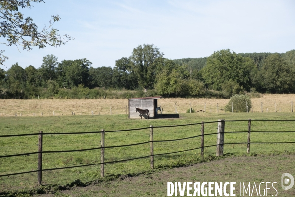 Une fin d été