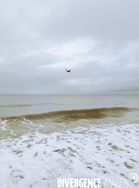 La Manche Hors-Saison