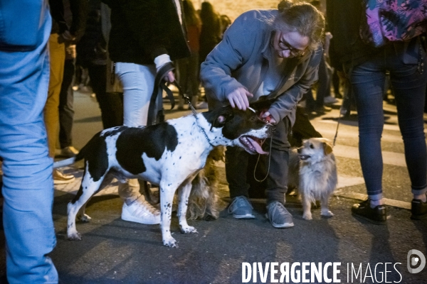Vie de commune: le carnaval de Candé