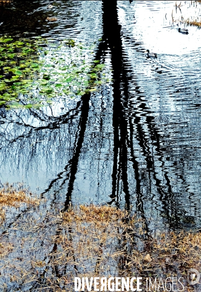 Hiver au parc