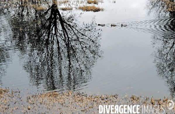 Hiver au parc