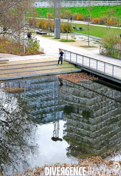 Hiver au parc